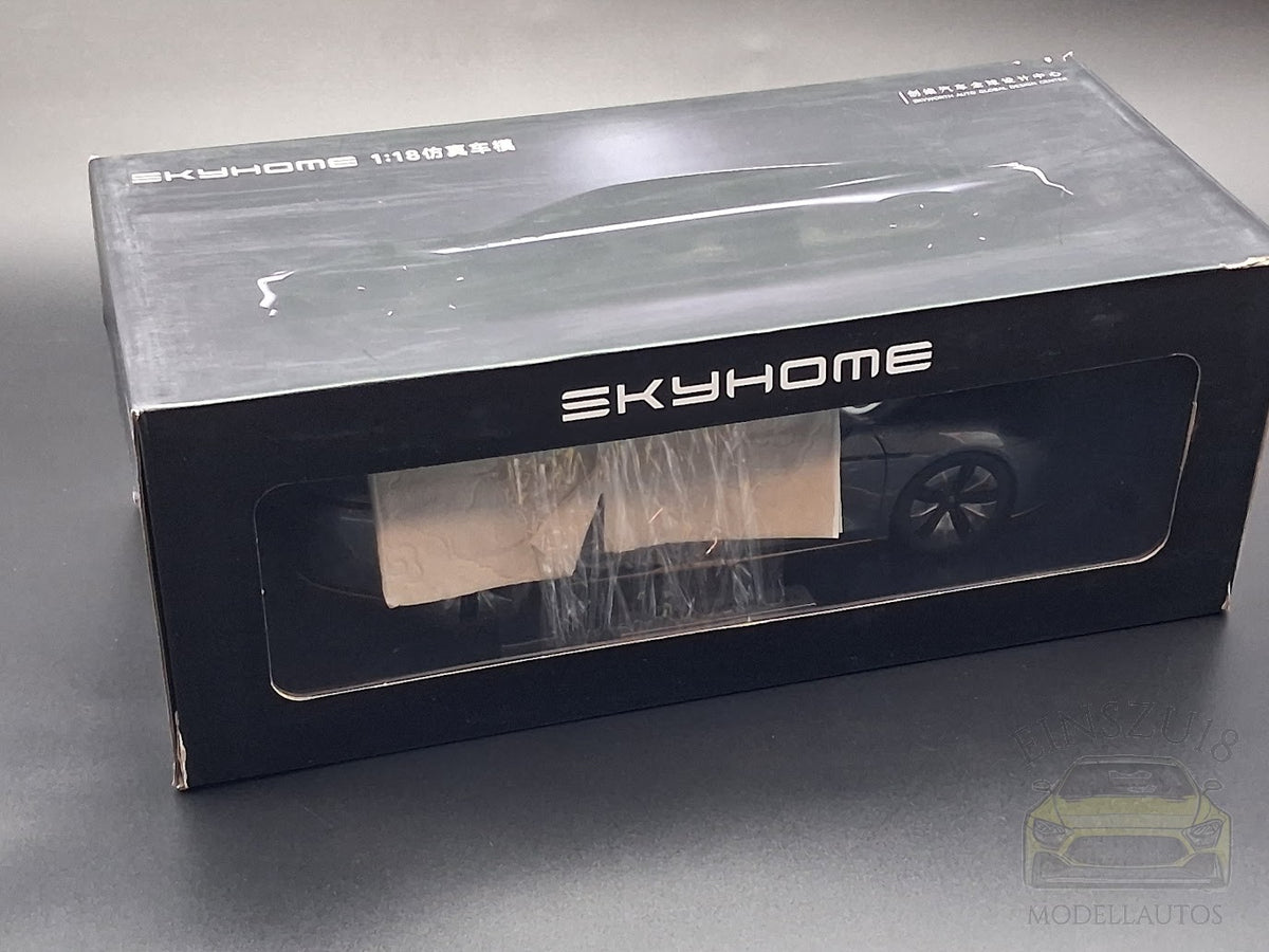 Skyworth CE11 Skyhome