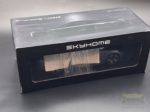 Skyworth CE11 Skyhome