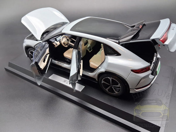 BYD Song L Silbergrau