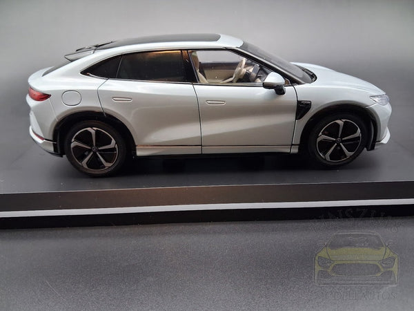 BYD Song L Silbergrau