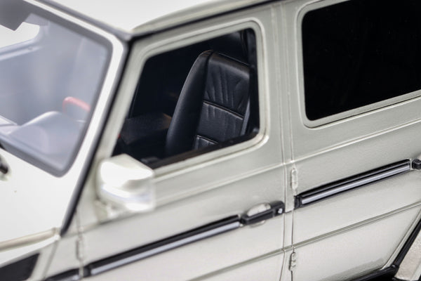 Mercedes-Benz G-Class G55 AMG 2003 Iridium Silver