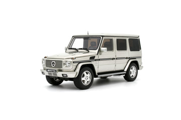 Mercedes-Benz G-Class G55 AMG 2003 Iridium Silver