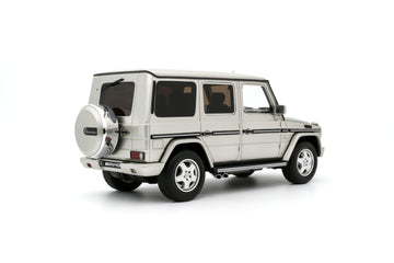 Mercedes-Benz G-Class G55 AMG 2003 Iridium Silver