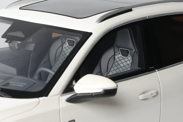 VW Volkswagen Tiguan E TSI R-Line 2024 Oryx White Pearl OT1219