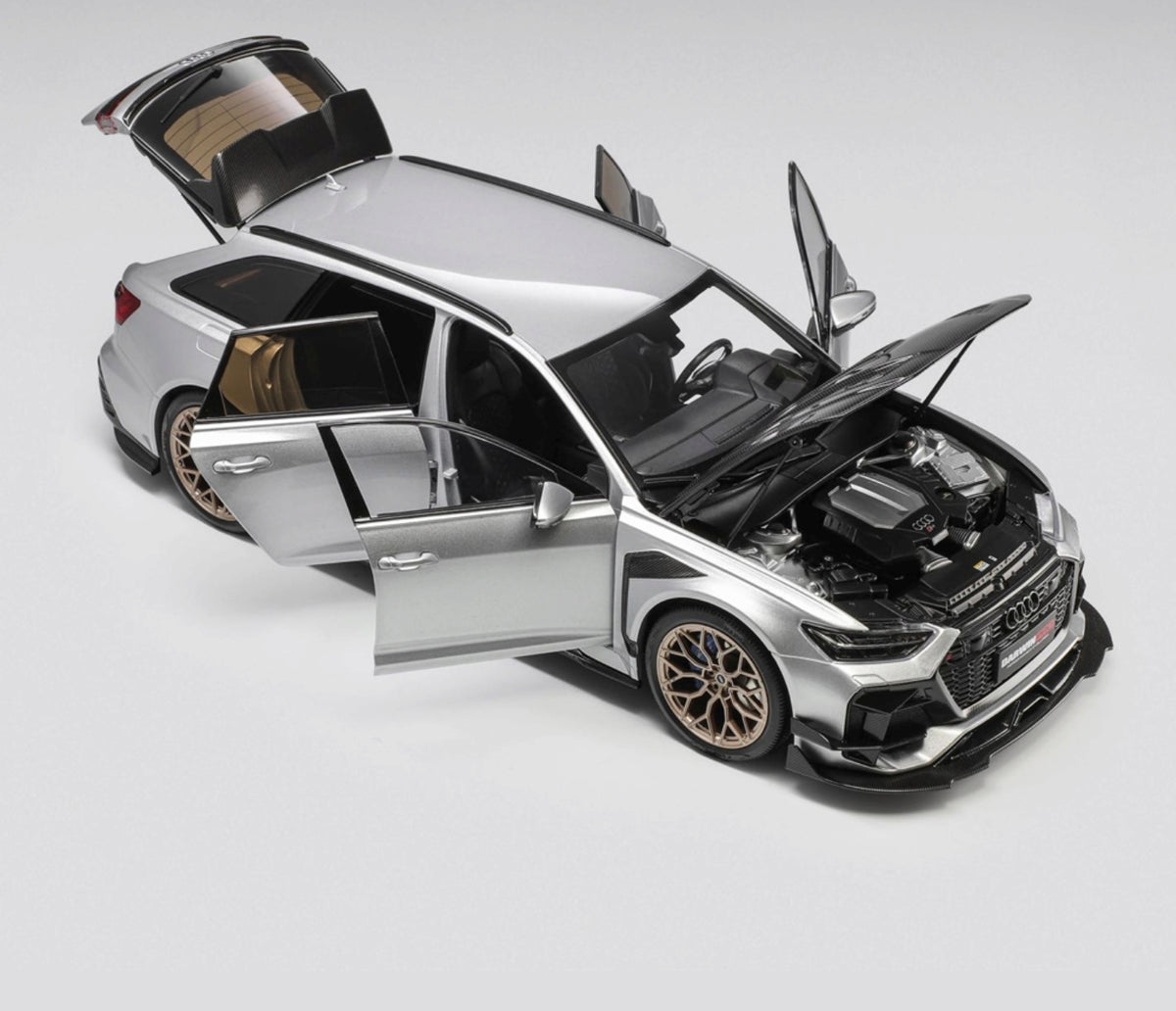 Audi RS6 (C8) Avant DarwinPRO Silber