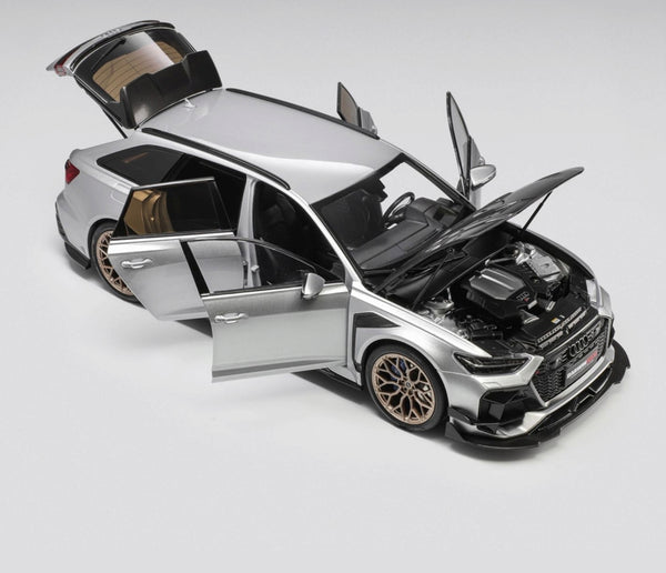 Audi RS6 (C8) Avant DarwinPRO Silber