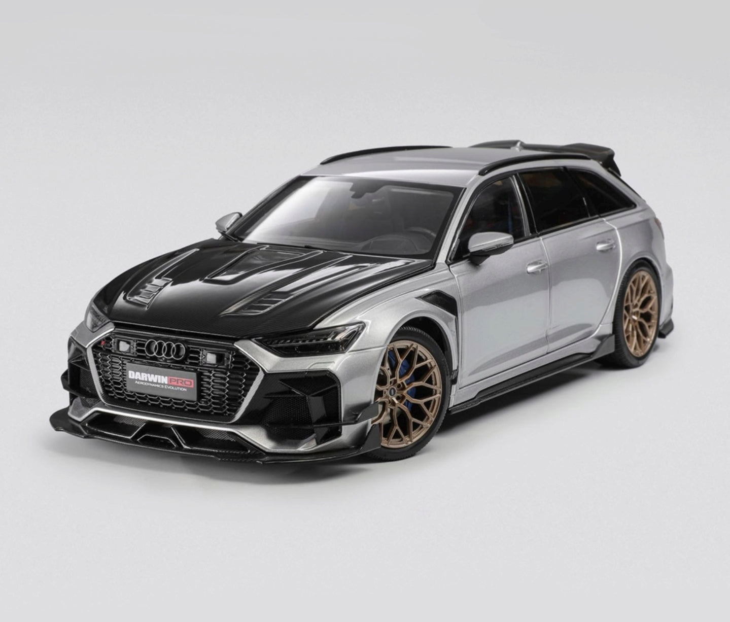 Audi RS6 (C8) Avant DarwinPRO Silber