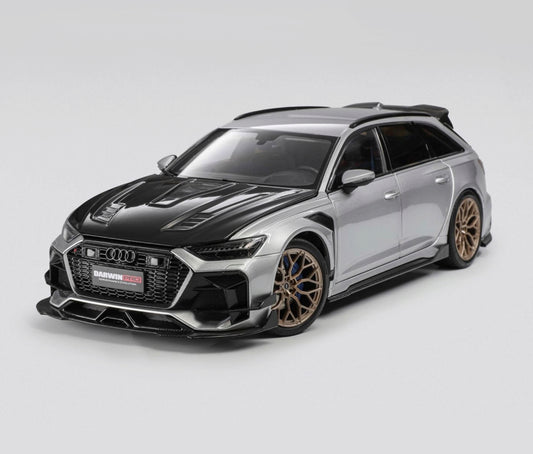 Audi RS6 (C8) Avant DarwinPRO Silber