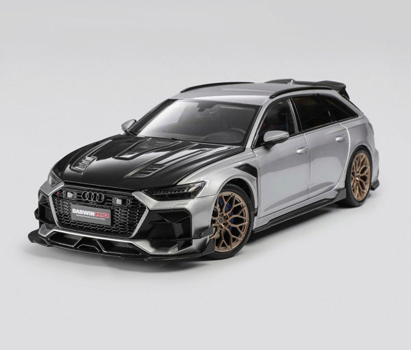 Audi RS6 (C8) Avant DarwinPRO Silber